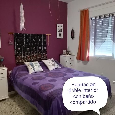 Lo Flamenc @Amposta Apartment Екстериор снимка