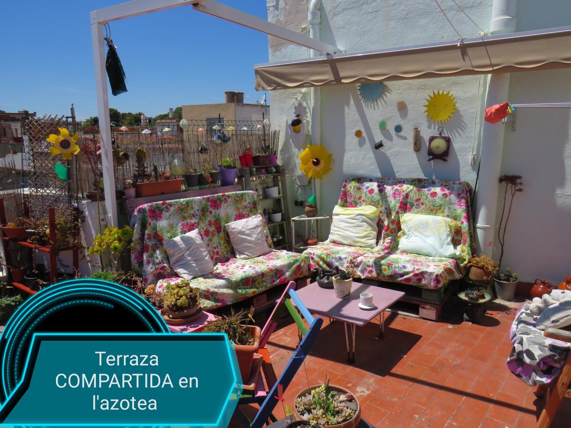 Lo Flamenc @Amposta Apartment Екстериор снимка
